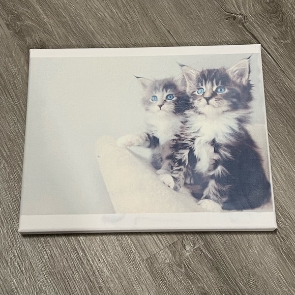 Kittens canvas - Picture 1 of 1